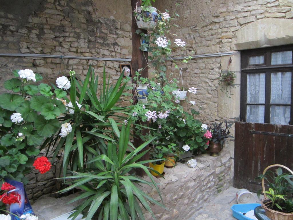Chambres, Table D'Hotes Et Gites Les Mesanges Saint-Jean-de-Sauves Экстерьер фото